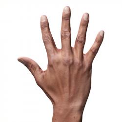 Malachi Sugihen Retopo Hand Scan